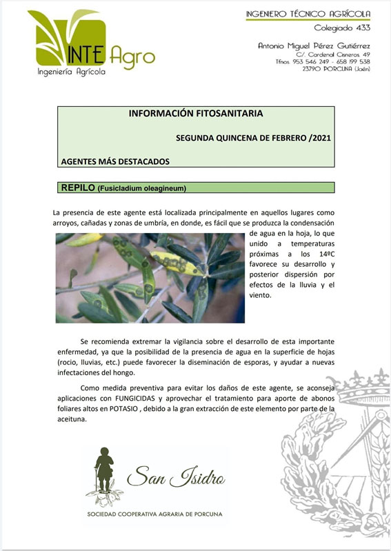 Ingeniero Técnico Agrícola